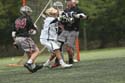 qmlax_4_19_14_1585