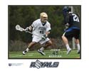 qmlax_sr15_16x20H_wtbder_tx_45